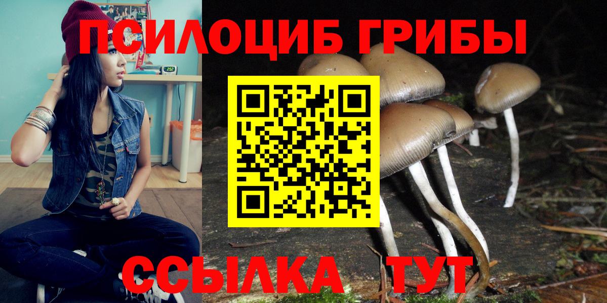 как найти   Галлюциногенные грибы ЛСД  Кингисепп  Вход с VPN  Псилоцибиновые грибы Psilocybe 